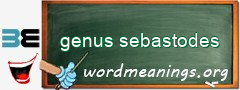 WordMeaning blackboard for genus sebastodes